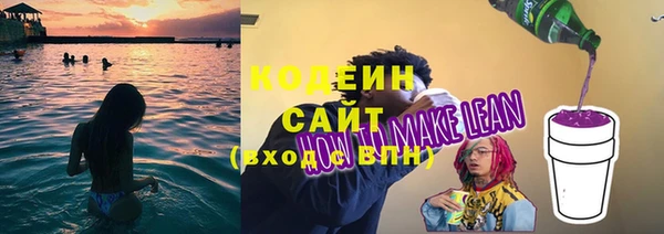 спиды Богородицк