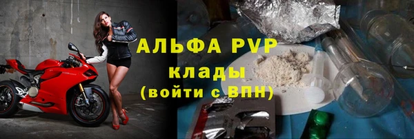 спиды Богородицк
