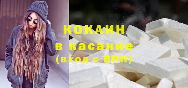 спиды Богородицк