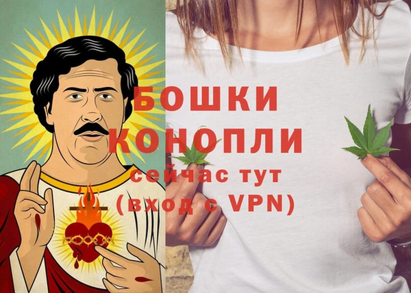 спиды Богородицк