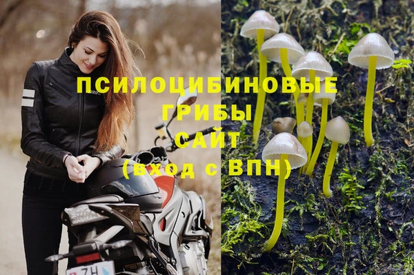 спиды Богородицк