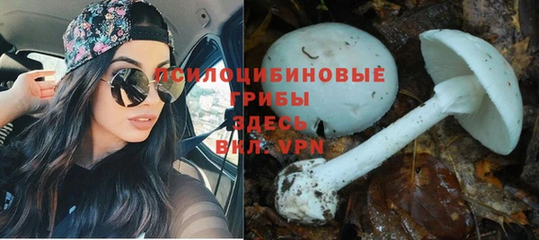 ALPHA PVP Богданович