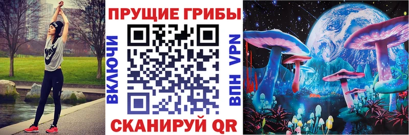 Галлюциногенные грибы MAGIC MUSHROOMS  где купить   Стерлитамак 